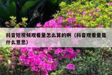 抖音短视频观看量怎么算的啊（抖音观看量是什么意思）