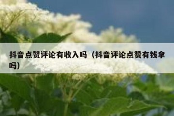 抖音点赞评论有收入吗（抖音评论点赞有钱拿吗）