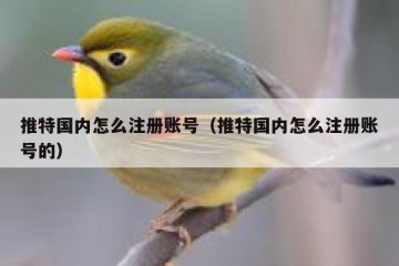 推特国内怎么注册账号（推特国内怎么注册账号的）