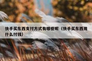 快手买东西支付方式有哪些呢（快手买东西用什么付钱）