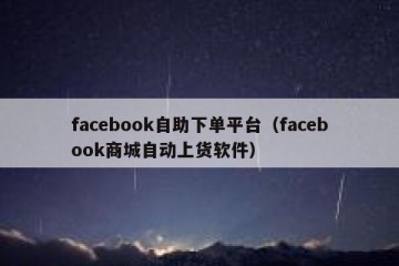 facebook自助下单平台（facebook商城自动上货软件）