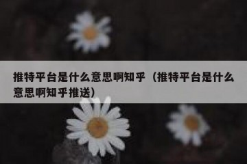 推特平台是什么意思啊知乎（推特平台是什么意思啊知乎推送）