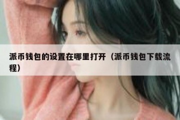 派币钱包的设置在哪里打开（派币钱包下载流程）