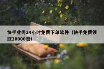 快手业务24小时免费下单软件（快手免费领取10000赞）