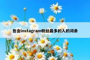 包含instagram粉丝最多的人的词条