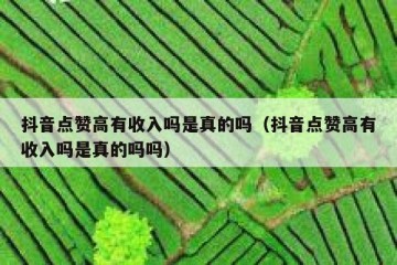 抖音点赞高有收入吗是真的吗（抖音点赞高有收入吗是真的吗吗）