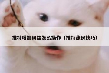 推特增加粉丝怎么操作（推特涨粉技巧）