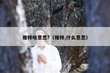 推特啥意思?（推特,什么意思）