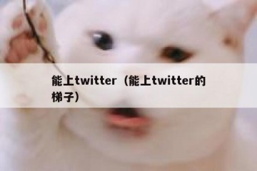 能上twitter（能上twitter的梯子）