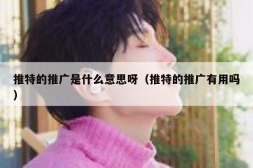 推特的推广是什么意思呀（推特的推广有用吗）