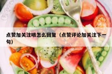 点赞加关注哦怎么回复（点赞评论加关注下一句）