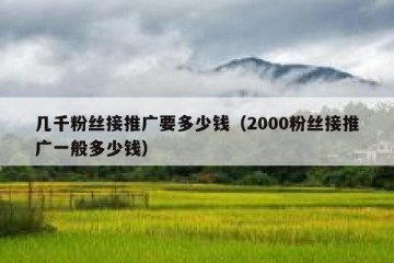 几千粉丝接推广要多少钱（2000粉丝接推广一般多少钱）