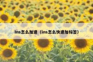 Ins怎么加速（ins怎么快速加标签）
