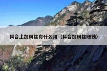 抖音上加粉丝有什么用（抖音加粉丝赚钱）