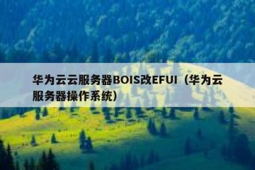 华为云云服务器BOIS改EFUI（华为云服务器操作系统）