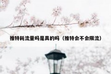 推特耗流量吗是真的吗（推特会不会限流）