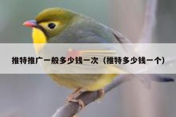 推特推广一般多少钱一次（推特多少钱一个）