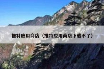 推特应用商店（推特应用商店下载不了）