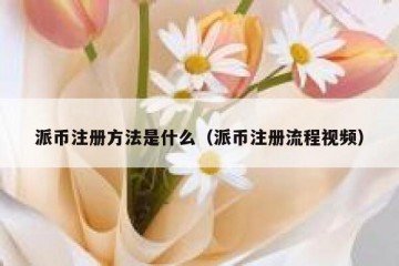派币注册方法是什么（派币注册流程视频）