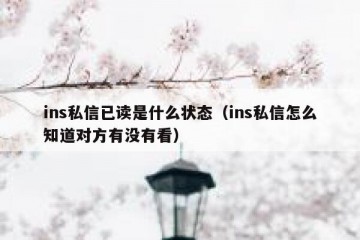 ins私信已读是什么状态（ins私信怎么知道对方有没有看）
