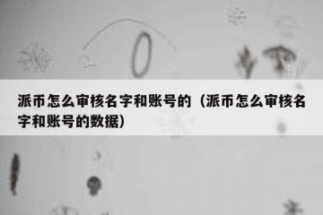 派币怎么审核名字和账号的（派币怎么审核名字和账号的数据）