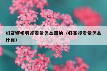 抖音短视频观看量怎么算的（抖音观看量怎么计算）