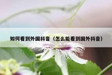 如何看到外国抖音（怎么能看到国外抖音）