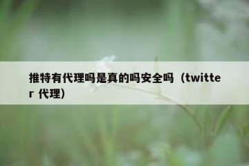 推特有代理吗是真的吗安全吗（twitter 代理）