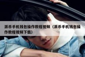 派币手机钱包操作教程视频（派币手机钱包操作教程视频下载）