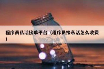 程序员私活接单平台（程序员接私活怎么收费）