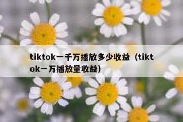 tiktok一千万播放多少收益（tiktok一万播放量收益）