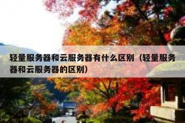 轻量服务器和云服务器有什么区别（轻量服务器和云服务器的区别）