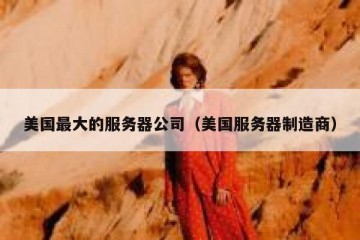 美国最大的服务器公司（美国服务器制造商）