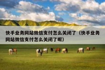 快手业务网站微信支付怎么关闭了（快手业务网站微信支付怎么关闭了呢）