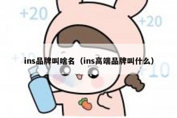 ins品牌叫啥名（ins高端品牌叫什么）