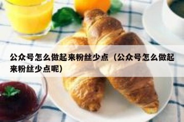 公众号怎么做起来粉丝少点（公众号怎么做起来粉丝少点呢）