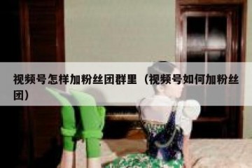 视频号怎样加粉丝团群里（视频号如何加粉丝团）