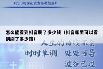 怎么能看到抖音刷了多少钱（抖音哪里可以看到刷了多少钱）