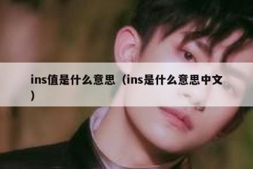 ins值是什么意思（ins是什么意思中文）