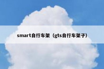 smart自行车架（gts自行车架子）