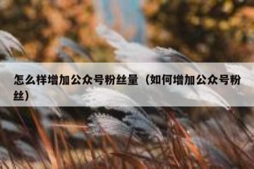 怎么样增加公众号粉丝量（如何增加公众号粉丝）