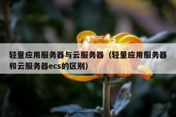 轻量应用服务器与云服务器（轻量应用服务器和云服务器ecs的区别）