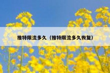 推特限流多久（推特限流多久恢复）