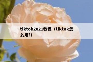 tiktok2021教程（tiktok怎么用?）