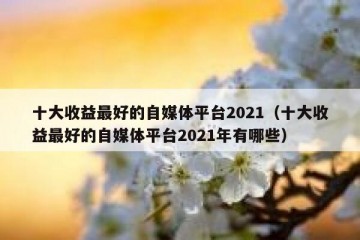 十大收益最好的自媒体平台2021（十大收益最好的自媒体平台2021年有哪些）