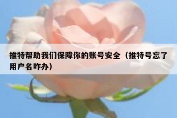 推特帮助我们保障你的账号安全（推特号忘了用户名咋办）