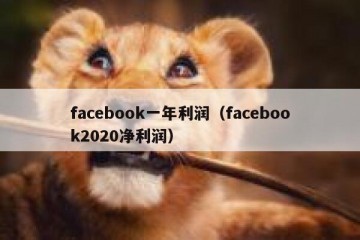facebook一年利润（facebook2020净利润）