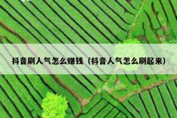 抖音刷人气怎么赚钱（抖音人气怎么刷起来）