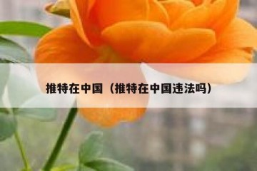 推特在中国（推特在中国违法吗）