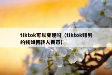 tiktok可以变现吗（tiktok赚到的钱如何转人民币）
